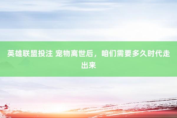 英雄联盟投注 宠物离世后，咱们需要多久时代走出来